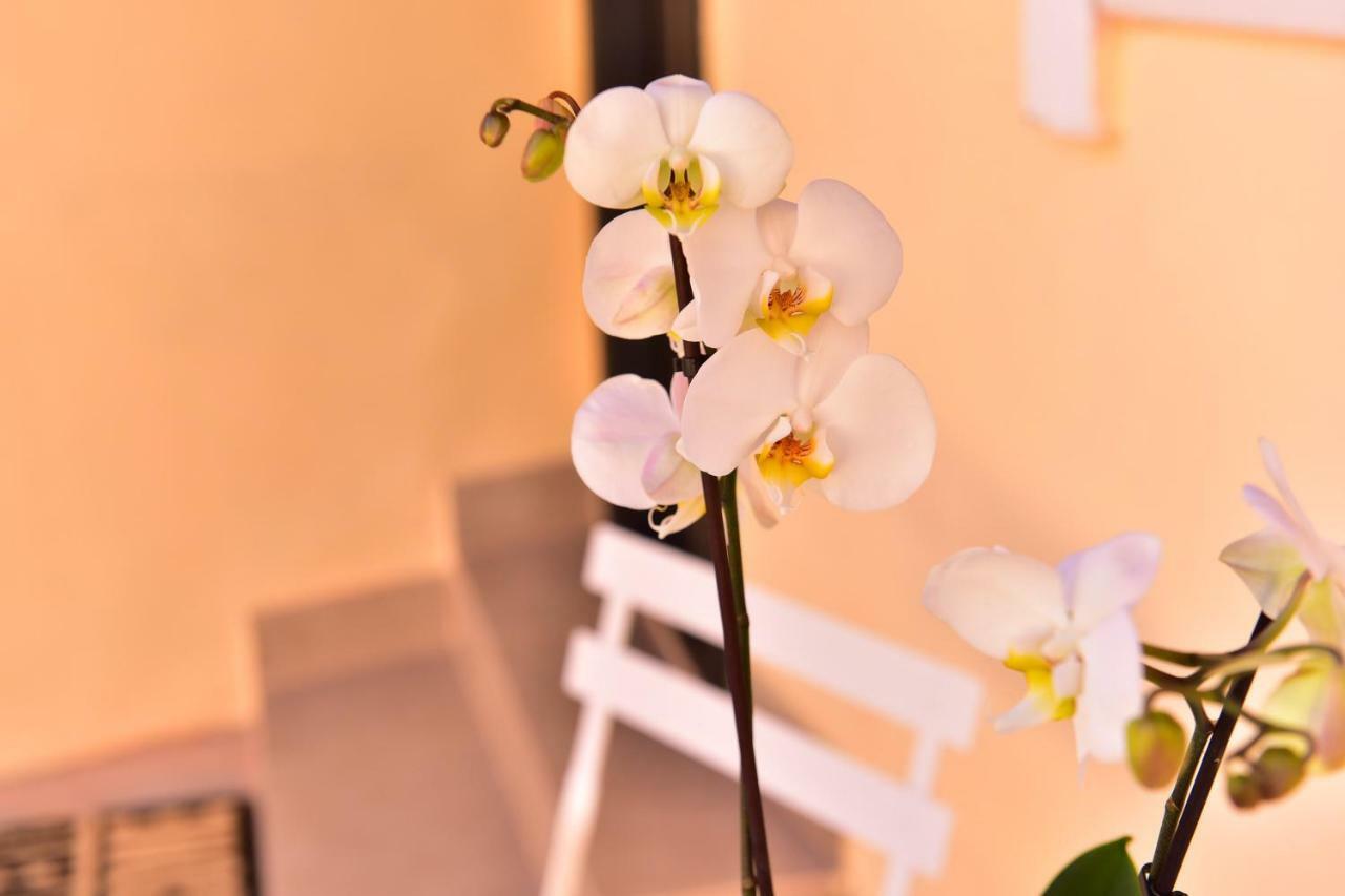 Casa Soare - Ultracentral Guesthouse Сибиу Экстерьер фото